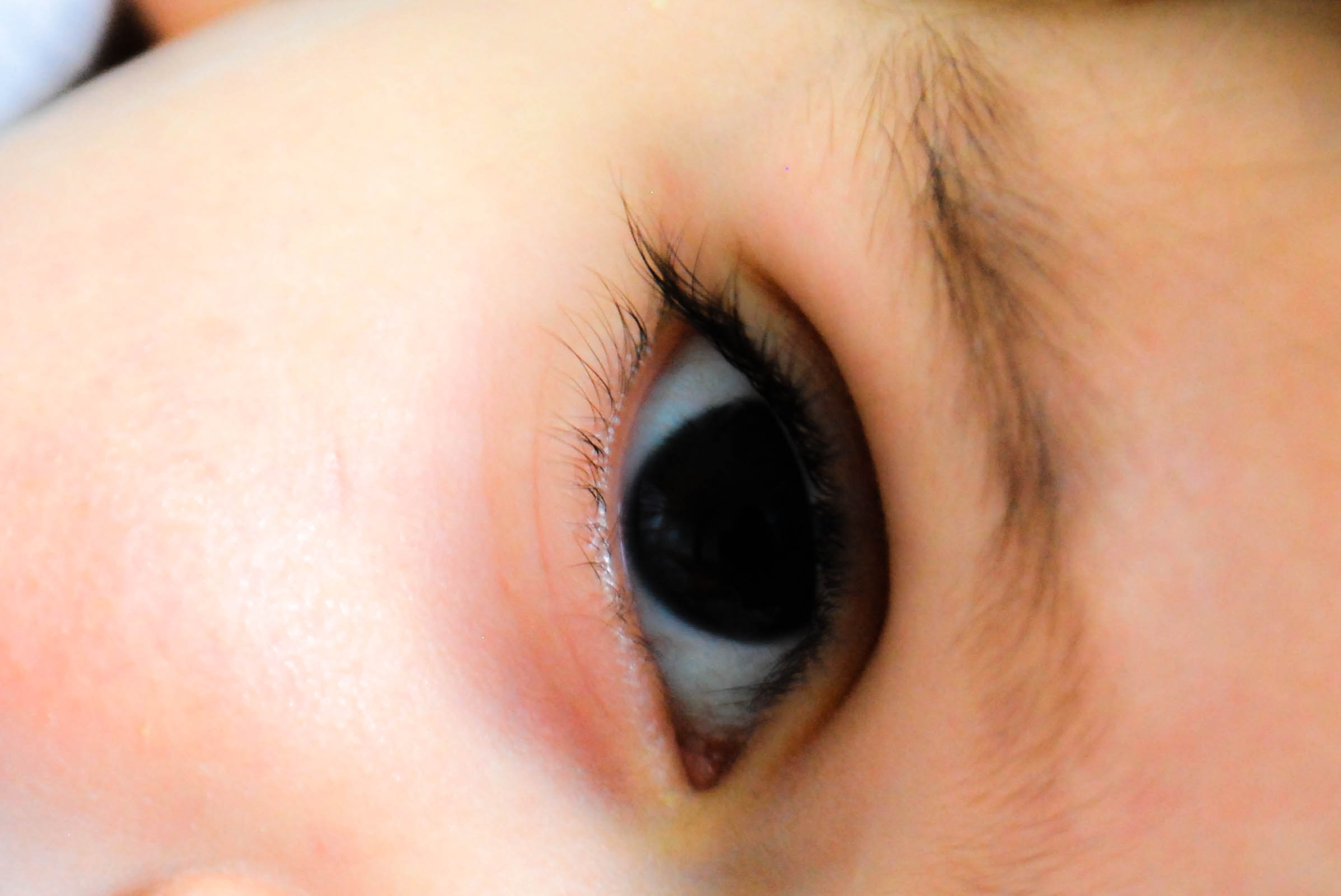 barbaras-family-4756